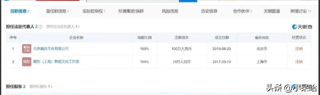 洪欣当年在娱乐圈有多红,洪欣为什么没火了