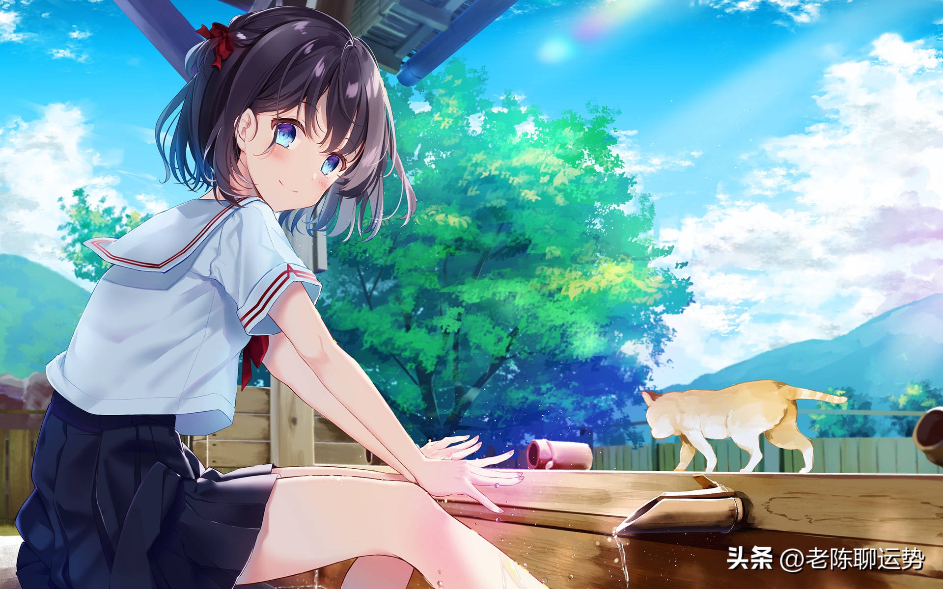 六月份下旬的生肖运势,六月中旬生肖运势大全