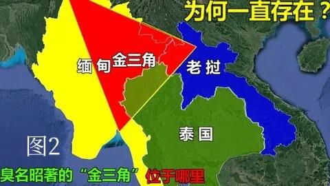 果敢真实,果敢真实视频