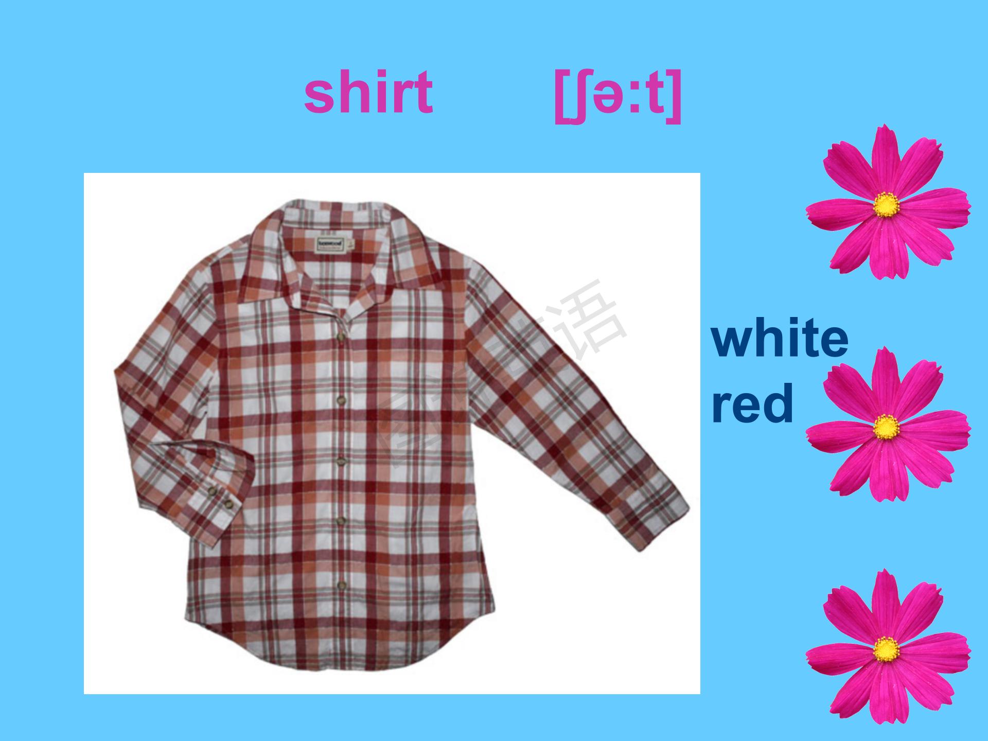 新概念第一册知识点总结课件,新概念英语第一册31到32课课件