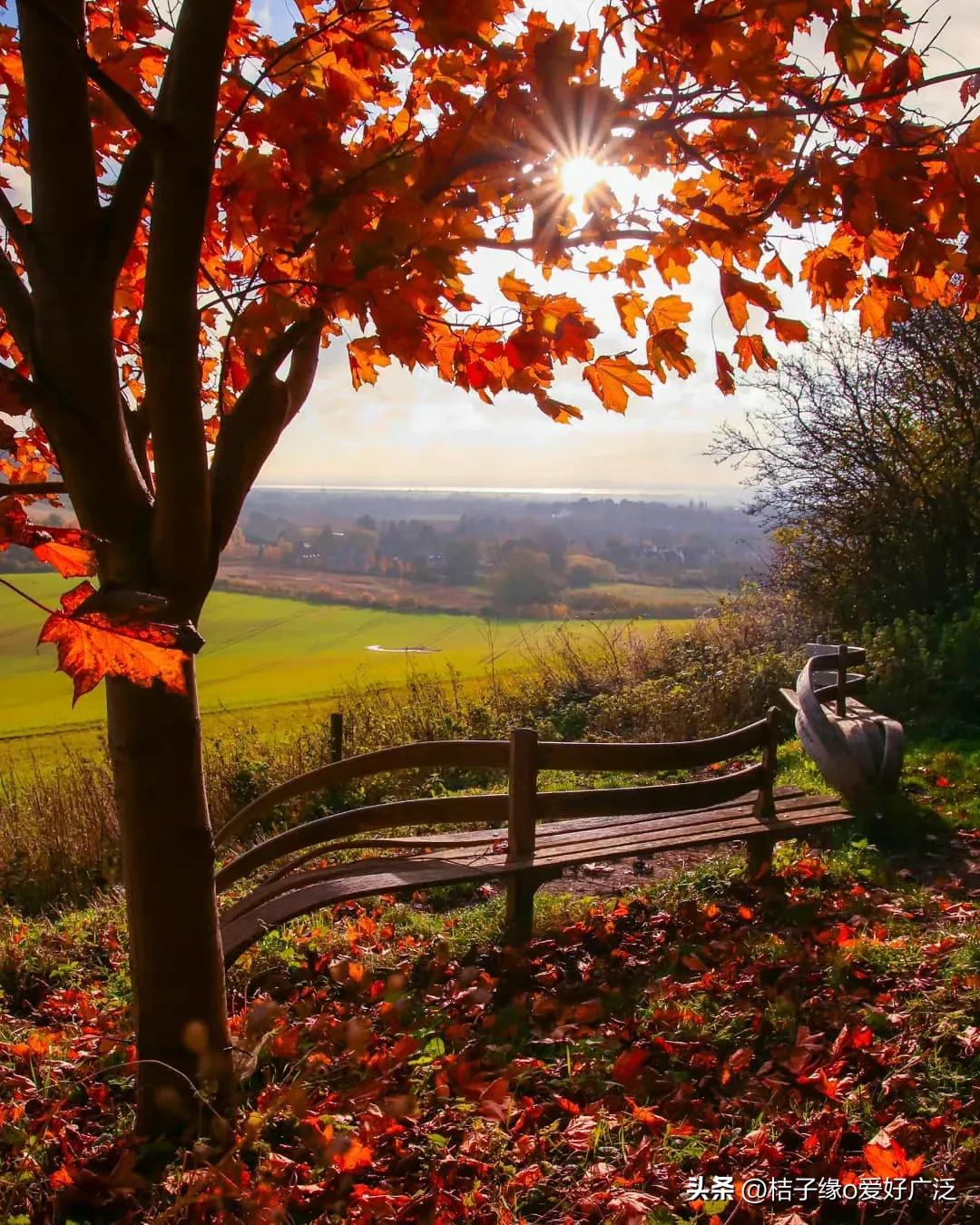 何为真正的读书人,什么是读书人的使命