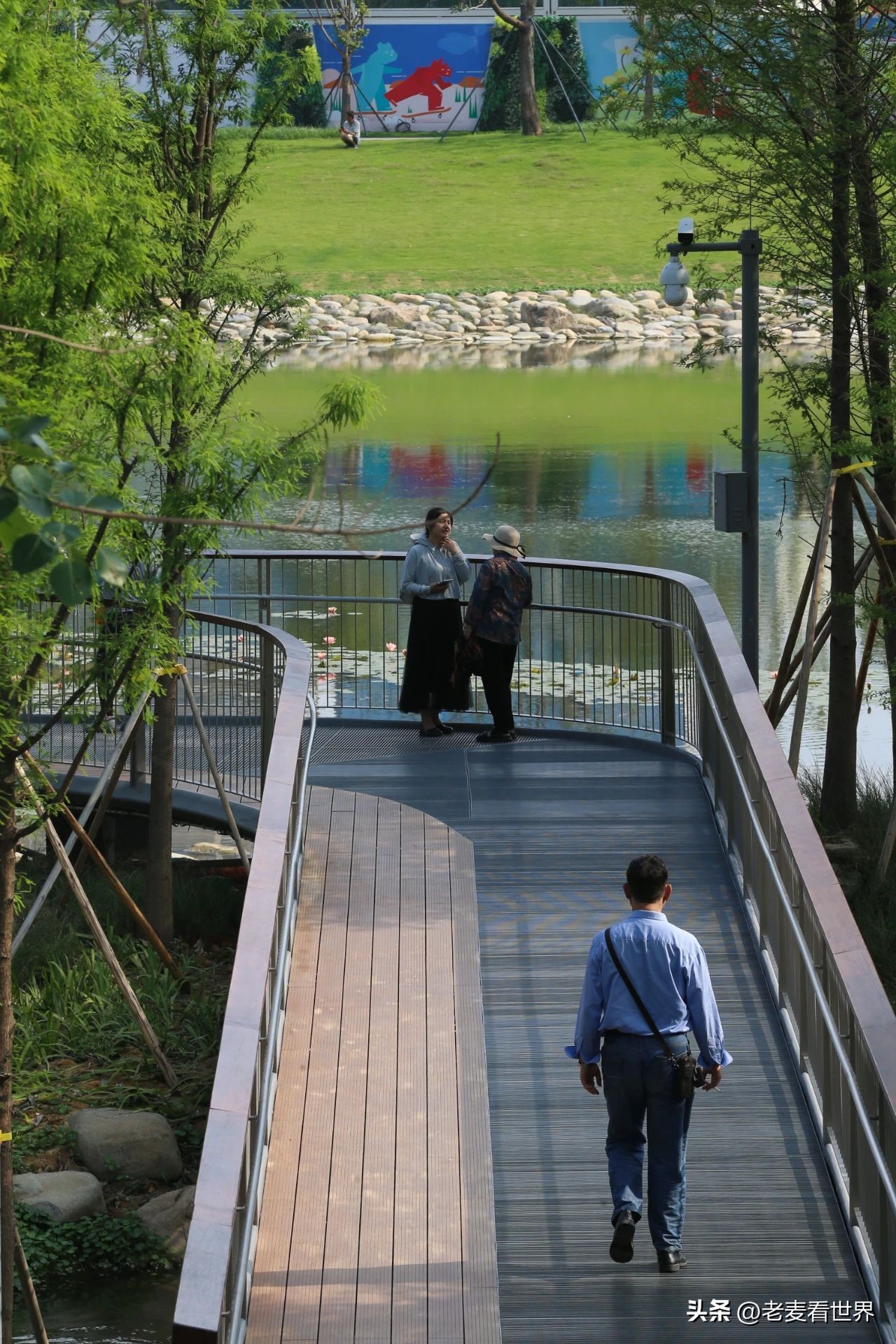 打卡公园东莞游玩攻略,东莞森林公园攻略