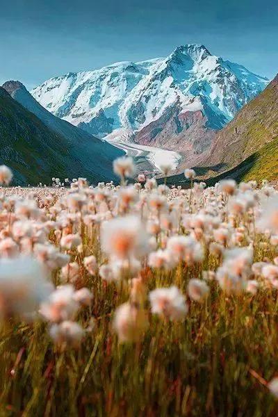 语法填空如何判断非限制定语从句,英语非限制性定语从句语法填空