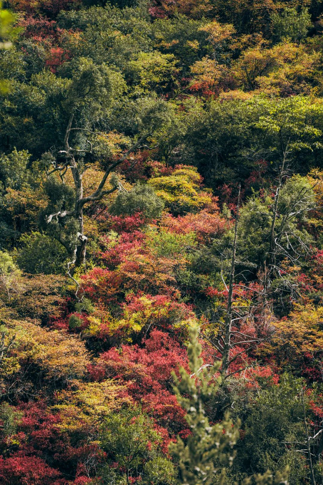 十大经典户外徒步路线,13条户外入门必走的徒步线