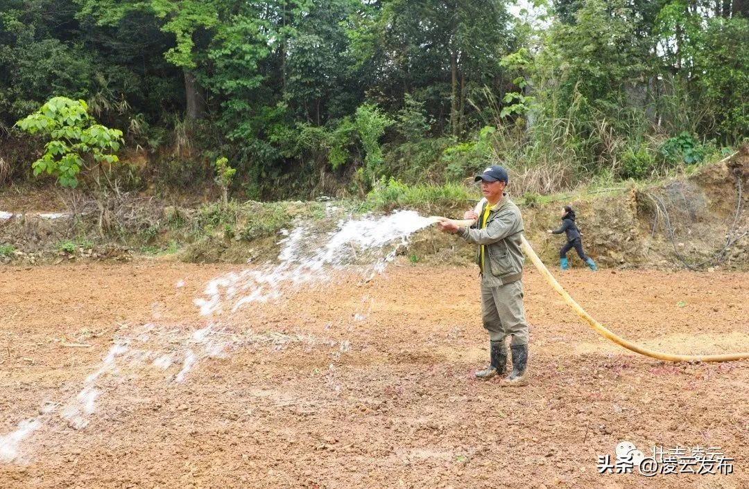 凌云：小小蚯蚓“钻”出致富新路子