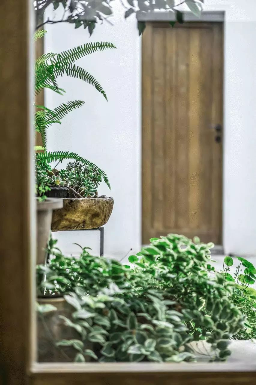 中国十大网红民宿,年盈利千万的民宿