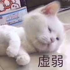 让老板无法拒绝的请假理由,给单位请假领导无法拒绝的理由