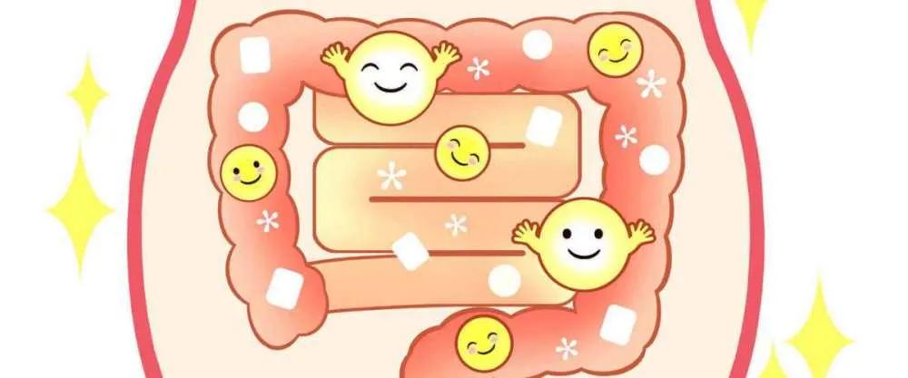 肠道不好有点漏便怎么回事,肠漏会引起什么病