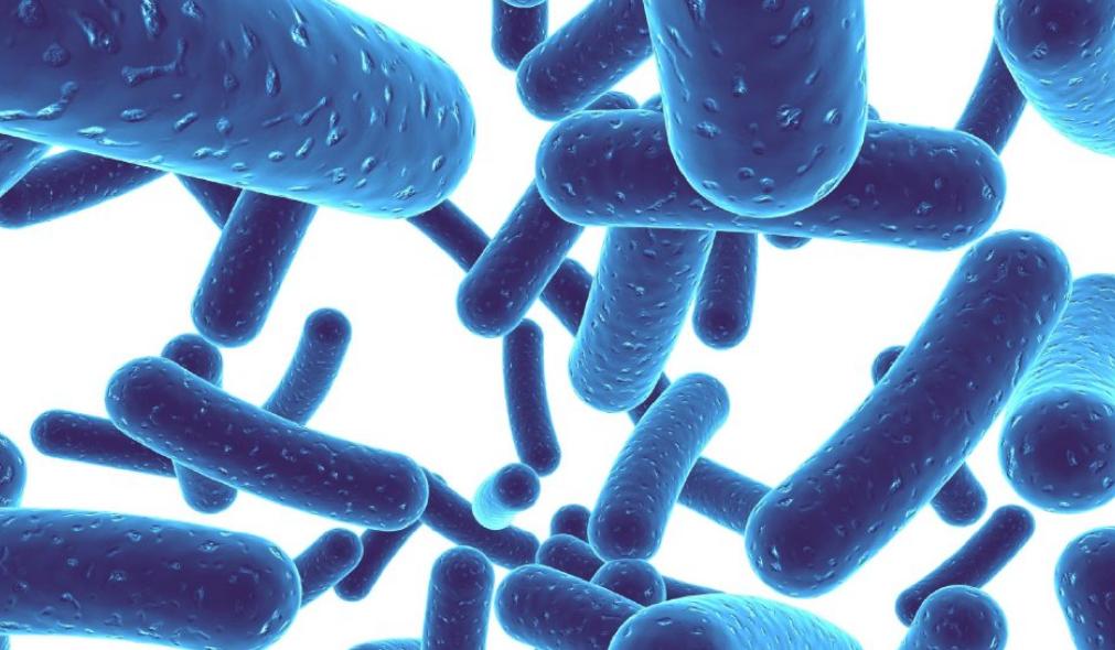 头皮里总是长疙瘩和脓包怎样治疗,头皮总长疙瘩和脓包是怎么回事