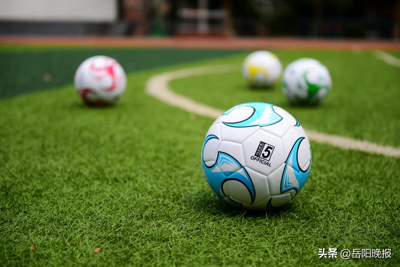 岳阳物价局物业收费标准明细表,岳阳物业管理费空置房收费标准