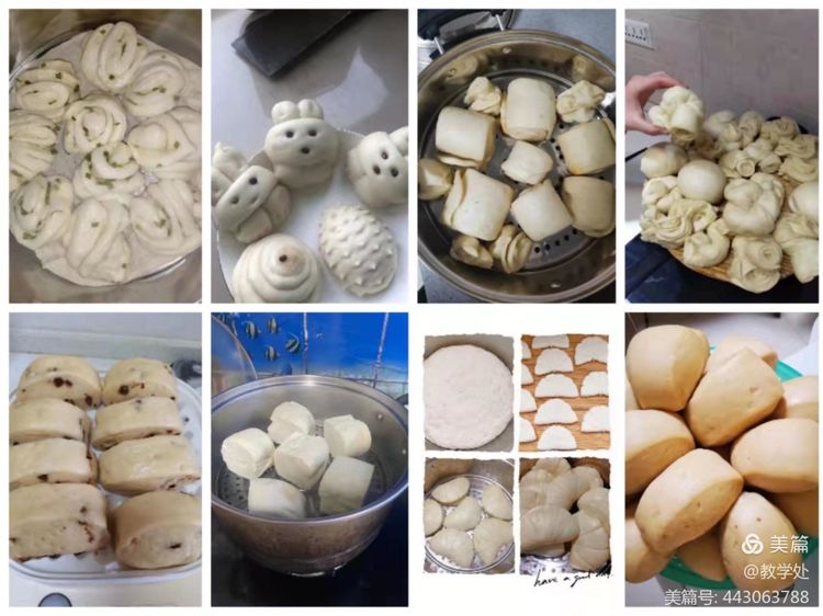 厨房中的生物知识,厨房中的物理知识应用初二