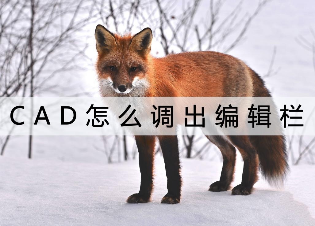 cad调出编辑参照快捷键,excel编辑栏怎么调出