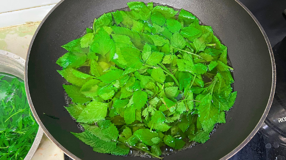 鬼针草全身是宝,鬼针草为什么到处都是