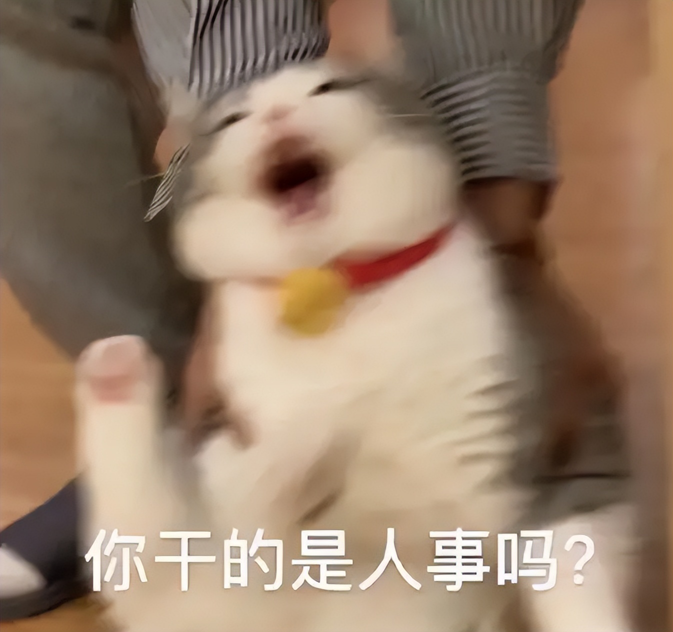 家里的蟑螂怎么彻底消灭,家里蟑螂怎么消灭最彻底的小妙招