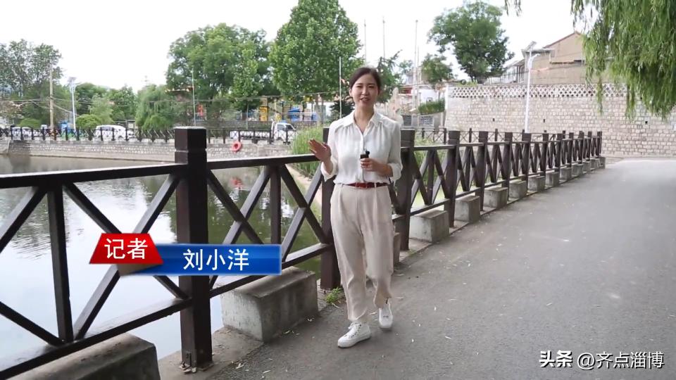 博山绿森林,博山森林原山