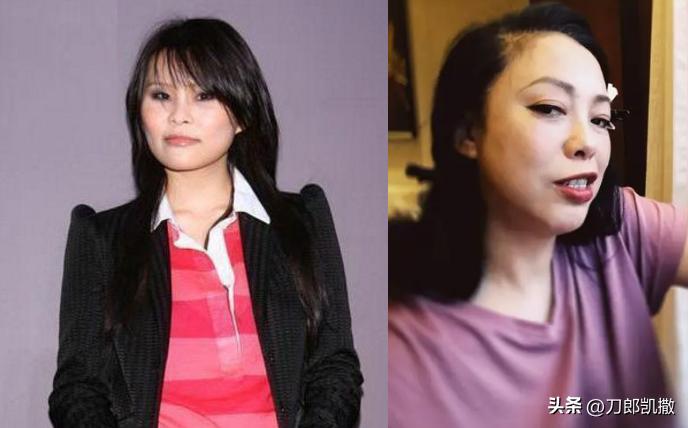 “虚拟天后”的黑红往事！