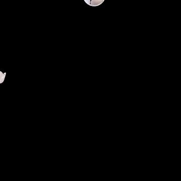 2022年世界杯吉祥物馄饨皮,世界杯吉祥物小馄饨皮图片