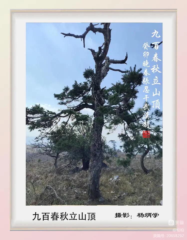 诗图战友情(五十三)炳学作品选