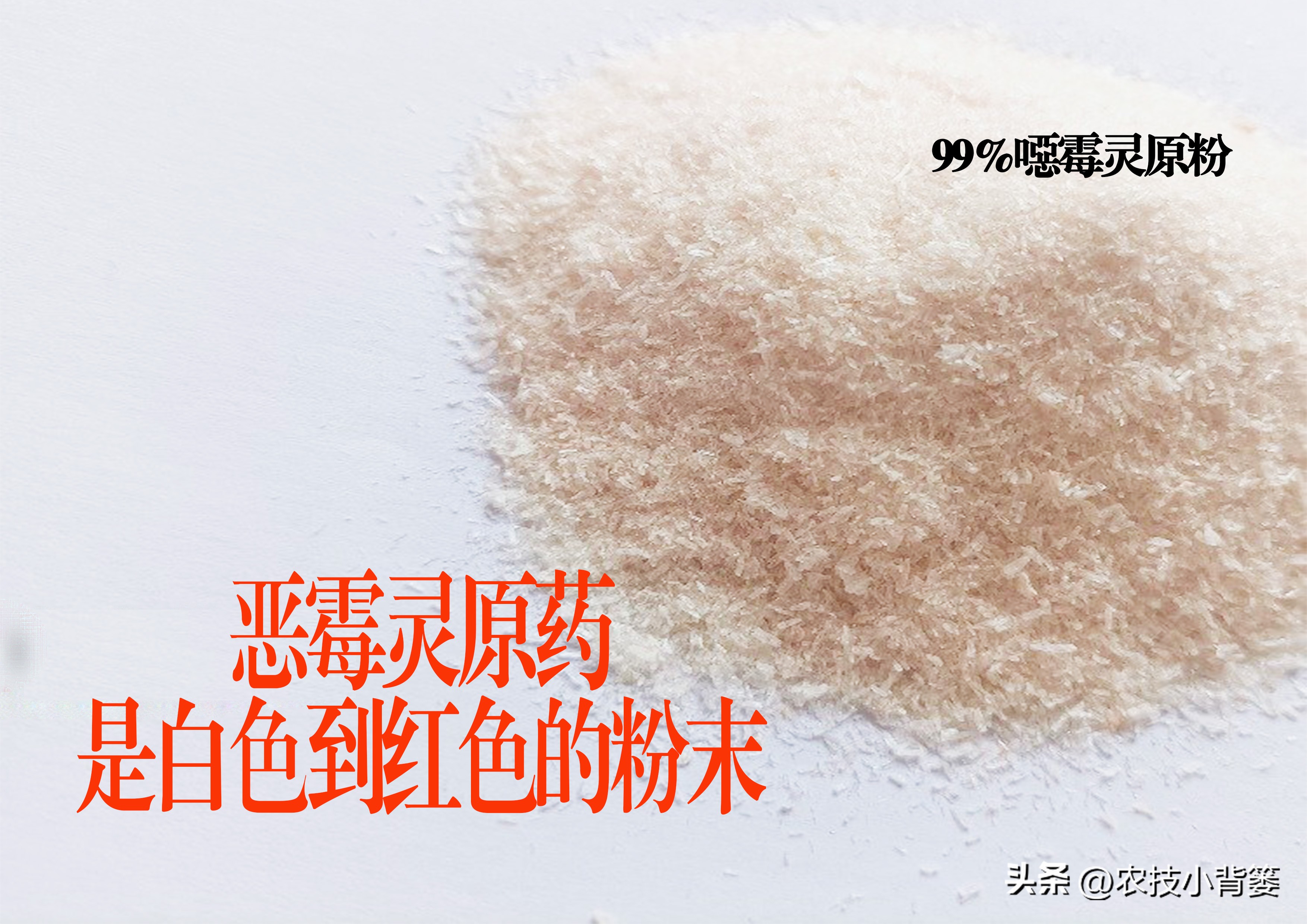 什么杀菌剂有控旺的功效,治死苗烂根最好的杀菌剂是