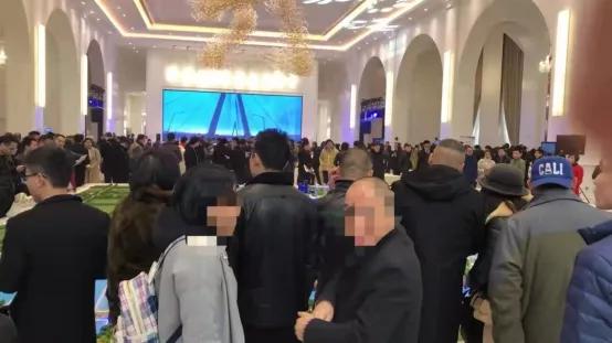 牛哄哄投资客，在杭州湾当了“韭菜”