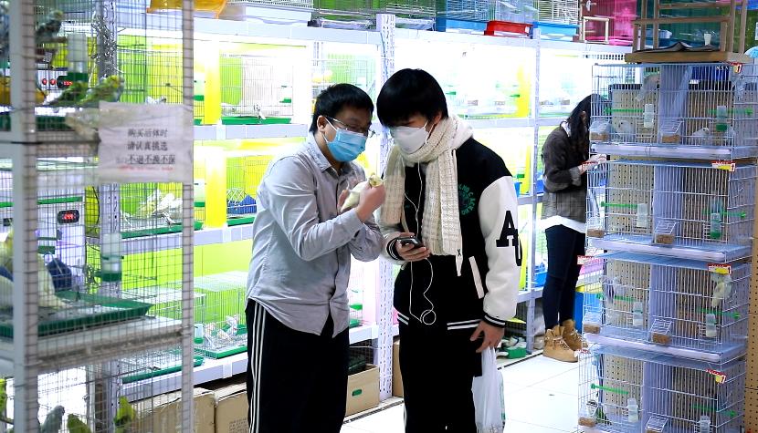 探访！新官园市场萌萌小动物们“营业”啦——