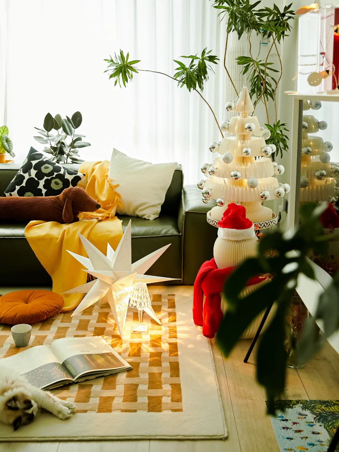 90后妈妈花3年时间,在北京打造室内“小森林”,满屋绿意