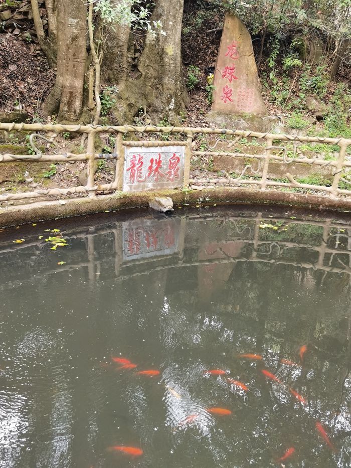 昆明青龙峡风景区路线,昆明青龙峡旅游航拍