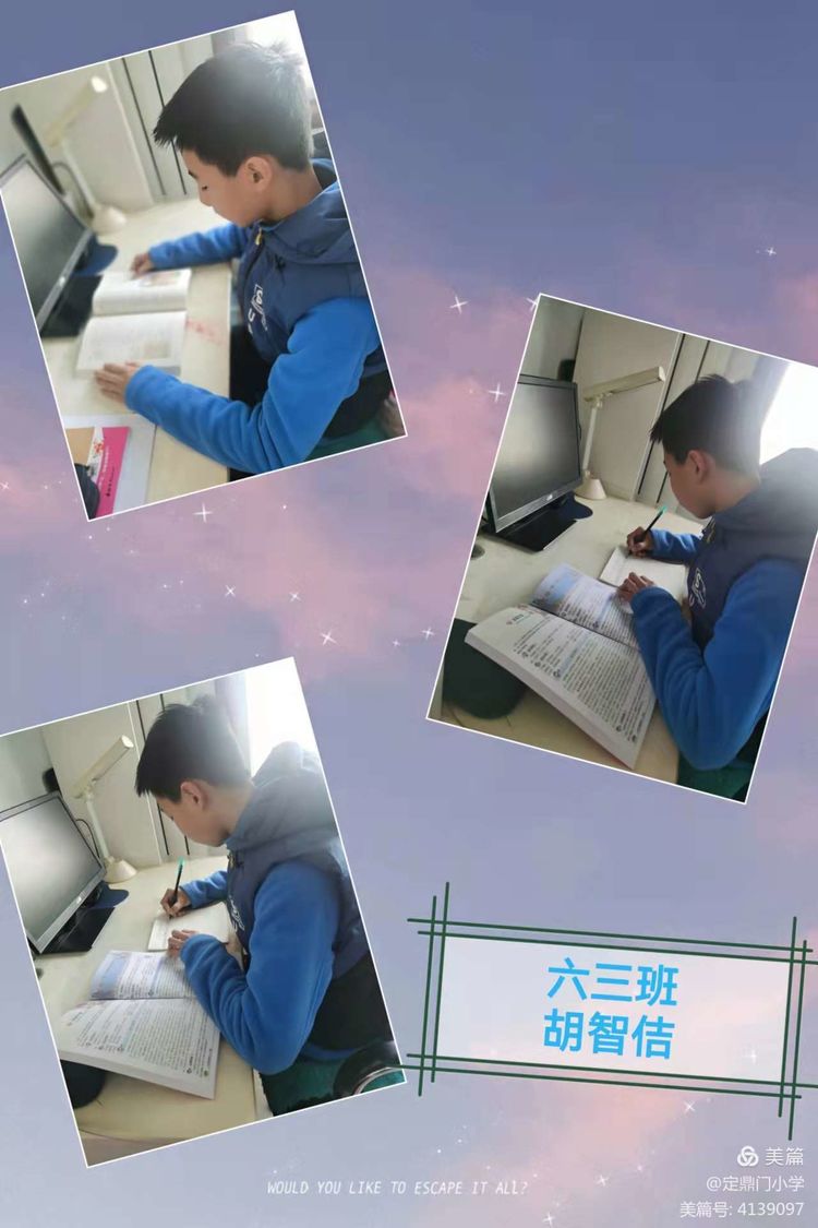 我手写我心为主题的小学作文,小学生作文我手写我心