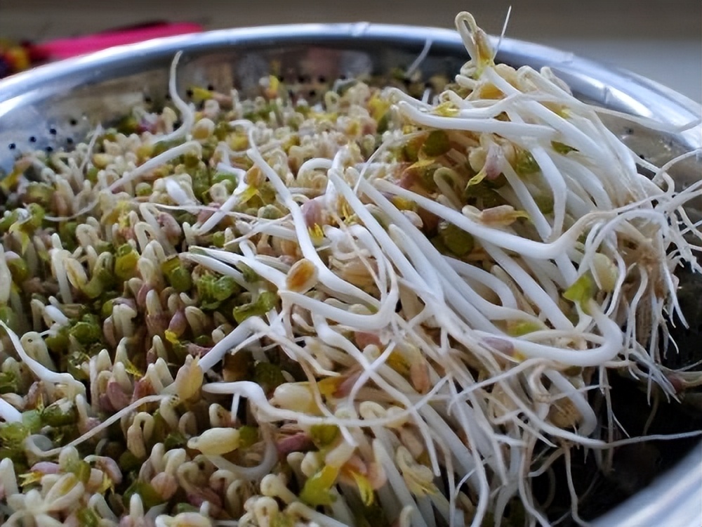 阳台种菜种什么最好活,阳台种菜种哪些长得比较快