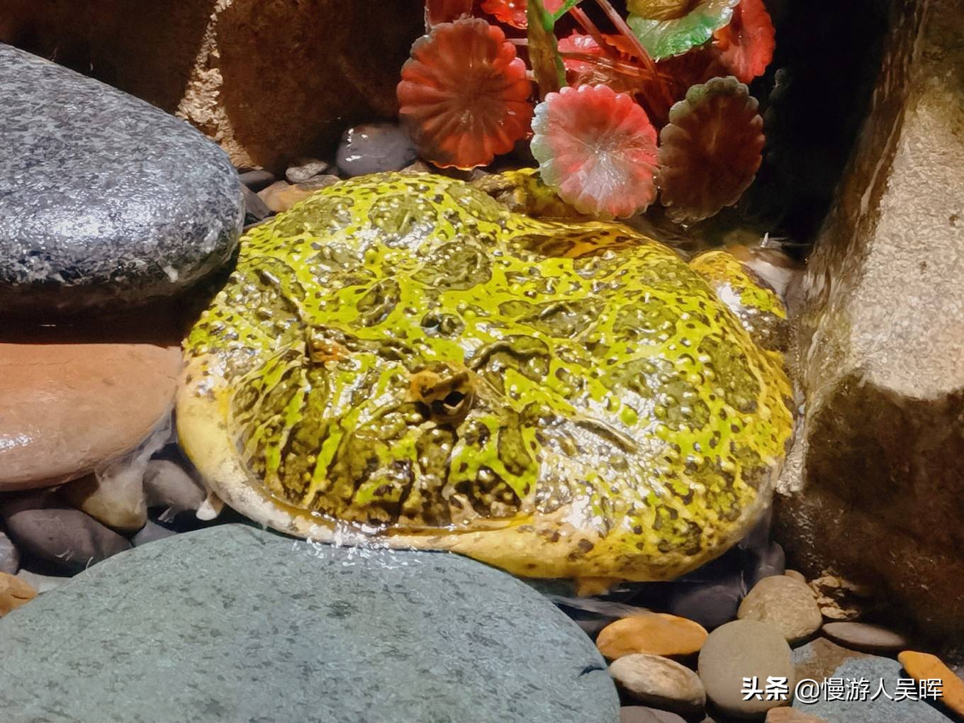 海南环岛游攻略详细行程,海南东线环岛游攻略自由行