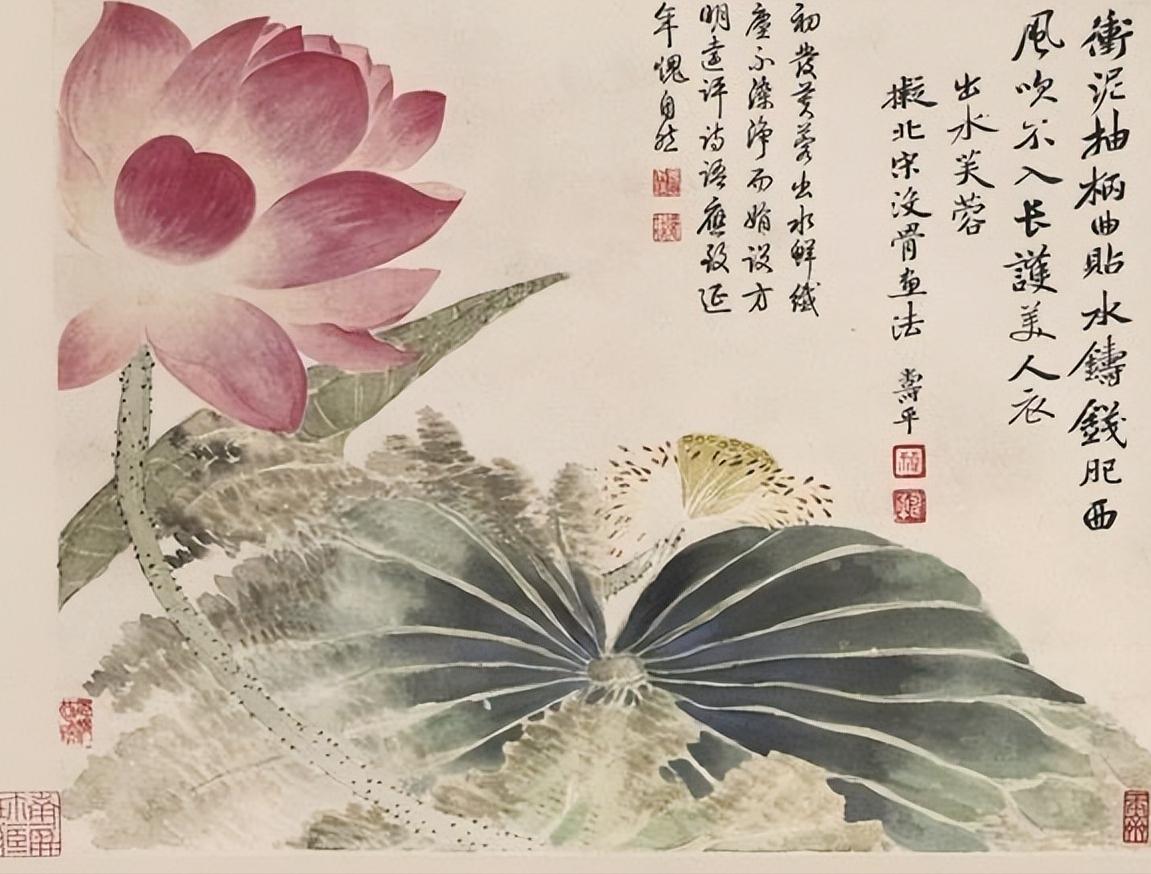 佛教选莲花而不是荷花,荷花与莲花在佛家有何意义