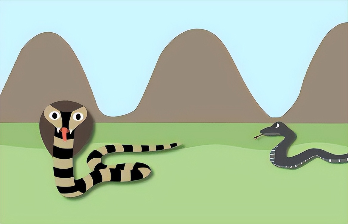 眼镜王蛇威胁人类,眼镜王蛇到底有多可怕