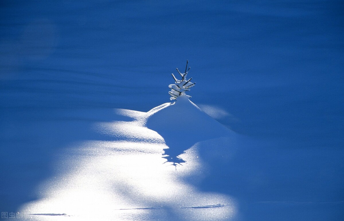 钱道生财之道,钱道财富创造论