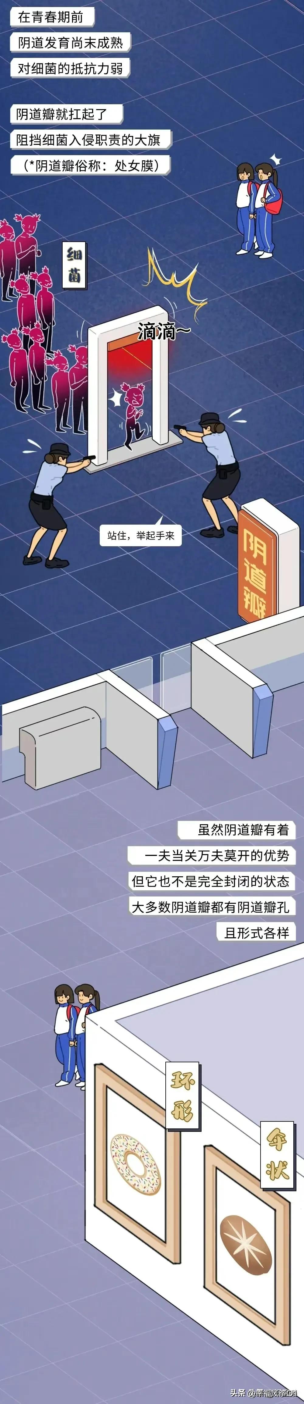 奇妙的女性生理结构，女生不要羞于了解！