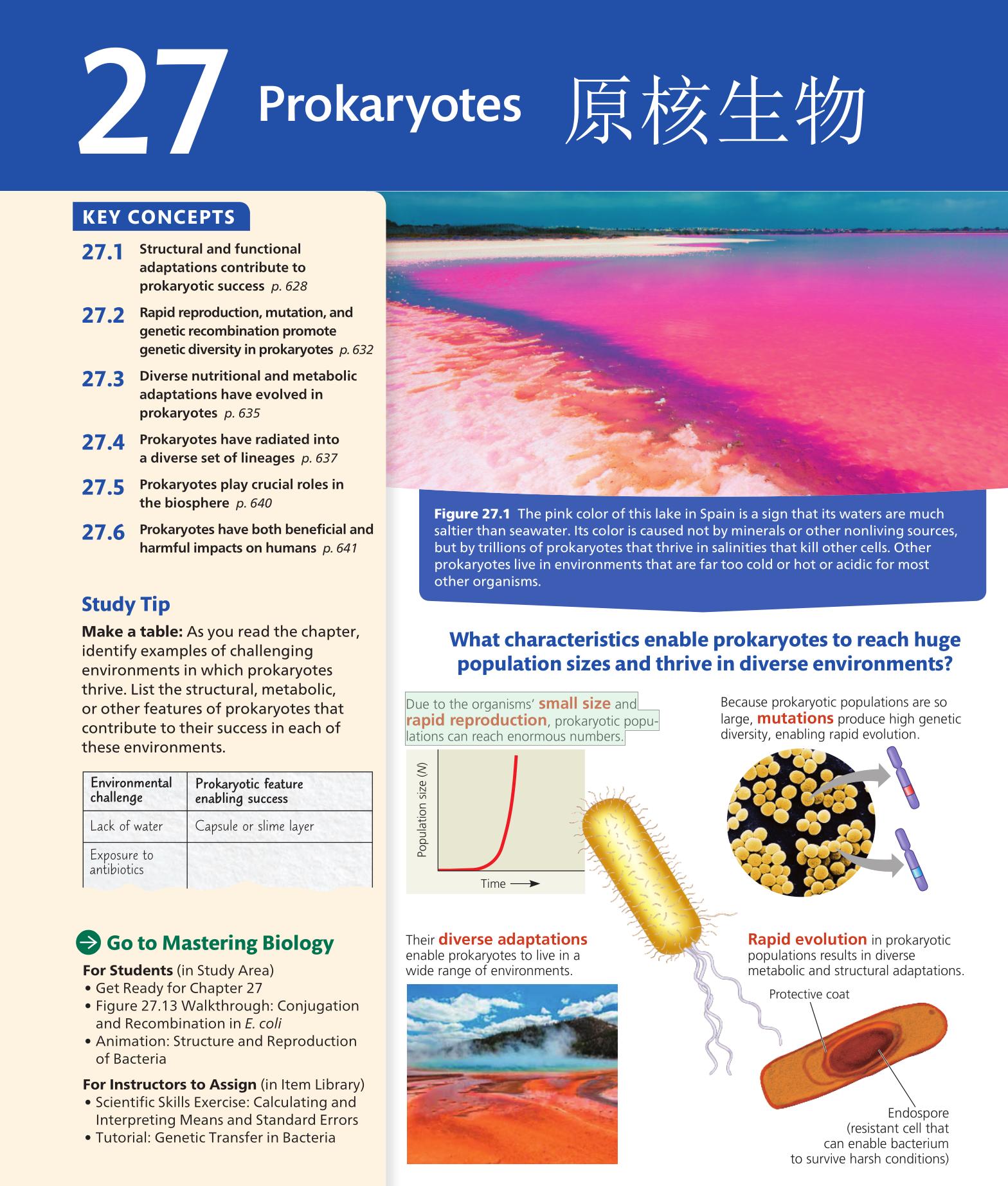 要学好英语必须学拉丁语,拉丁语基本知识