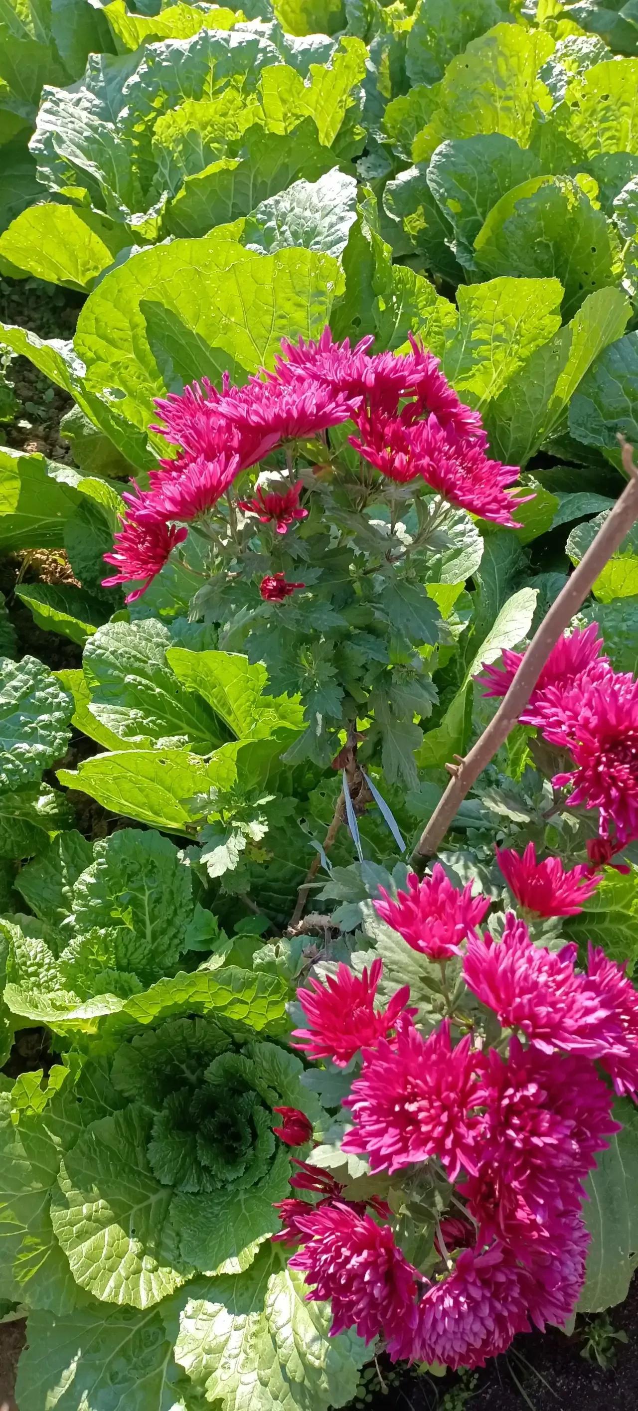 桂林美女模特,桂林美女相册