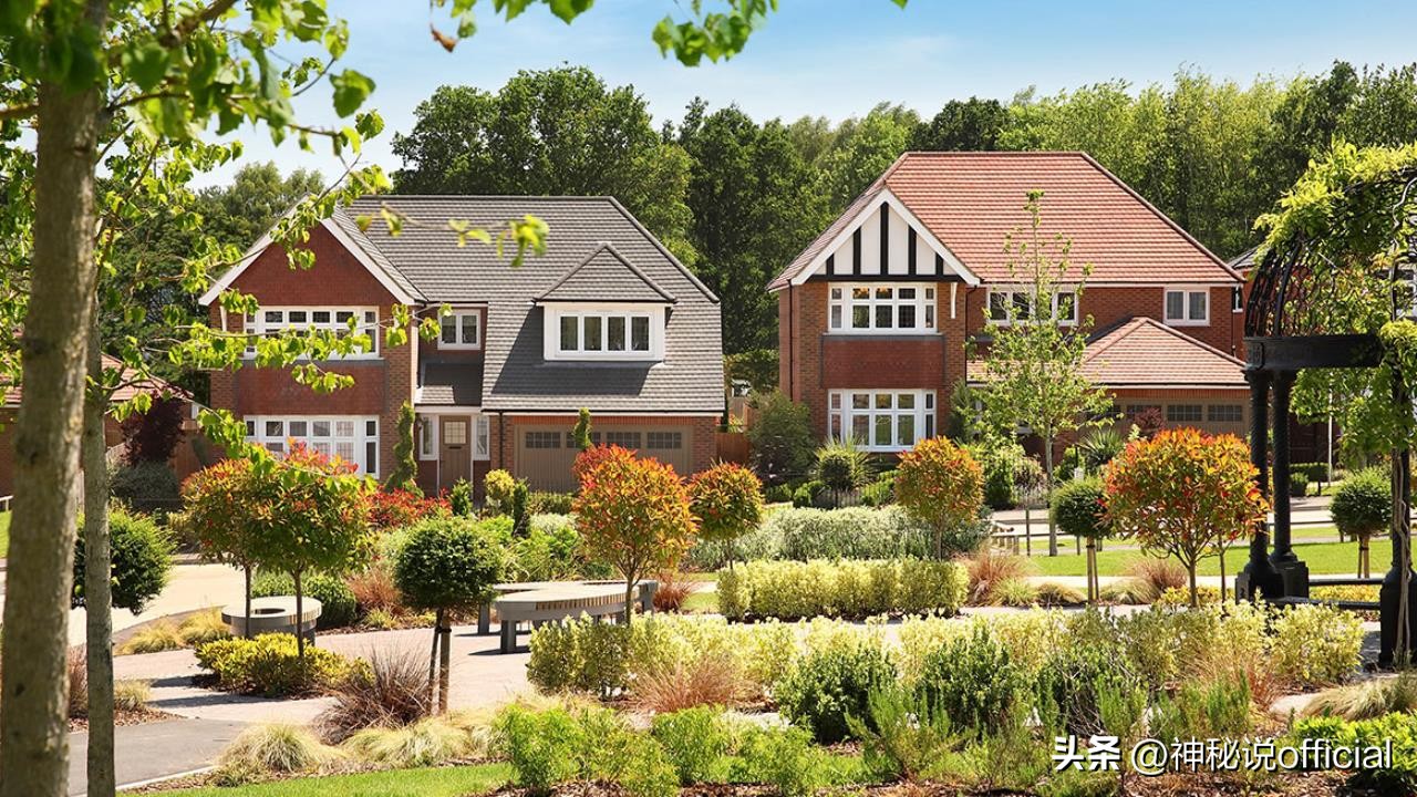 吉林商人史锐雪国内骗1.5亿，跻身美国上流社会，FBI抓捕判刑20年