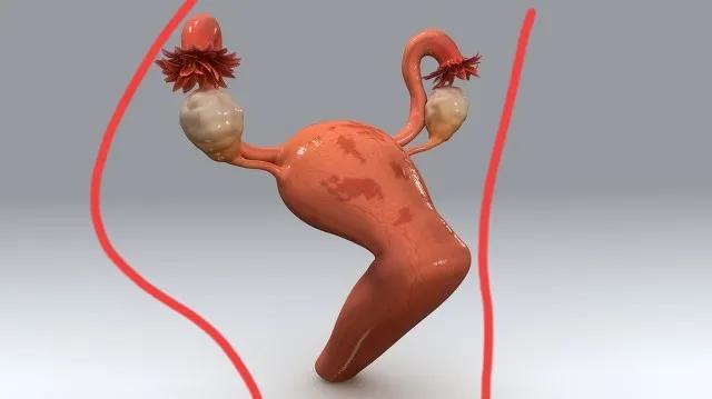 后位子宫快速怀孕的7个诀窍,宫后位怀孕率高吗