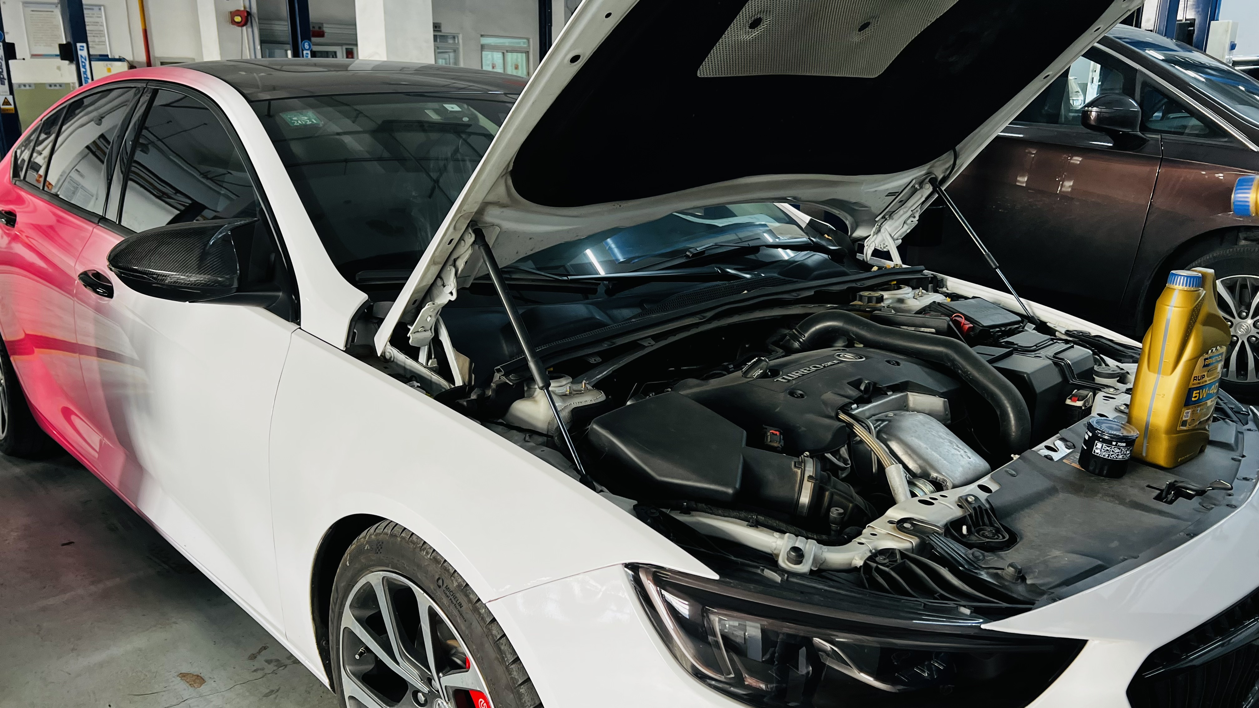 艾伦养护注意事项,艾伦怎样养护