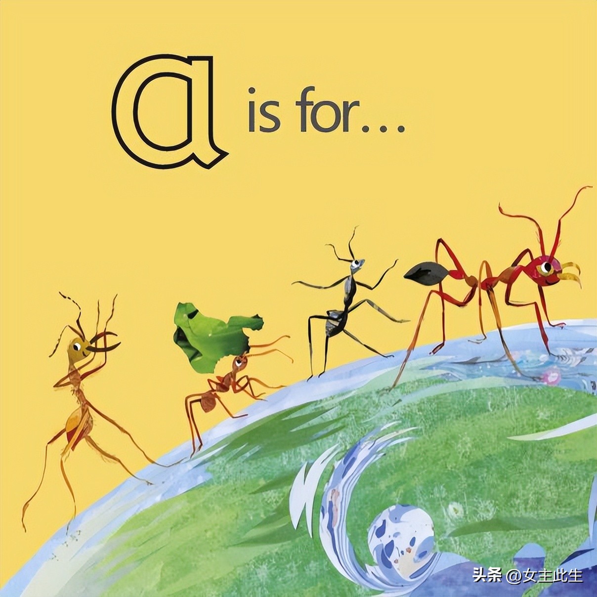 认识小动物的英语绘本,关于动物的英语绘本大全