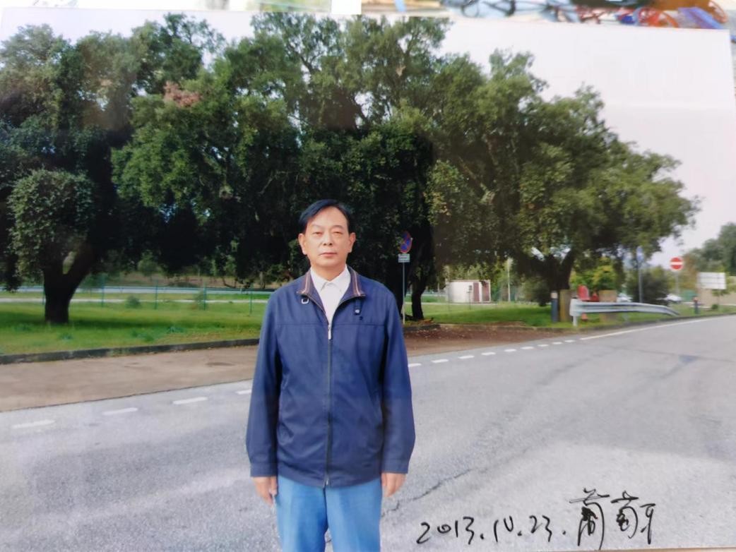 从马德里到里斯本，一路皆从橄榄树和橡树林中穿过