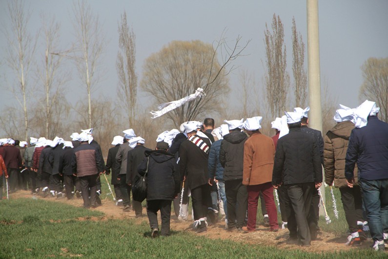 一辈子吃不上四道菜分别是哪四道,中国人打死不吃的四道菜是什么