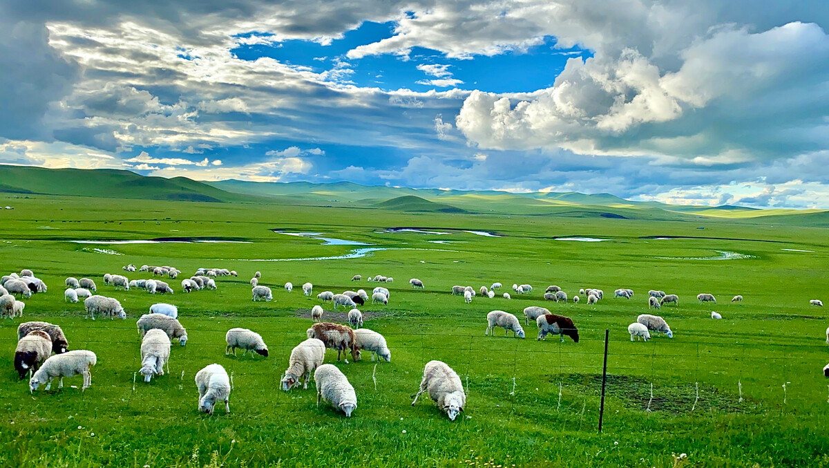 蒙古国的历史与现状,蒙古国真实的状况