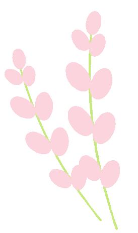 奥巴马女儿毕业于哪个大学,奥巴马长女读哈佛