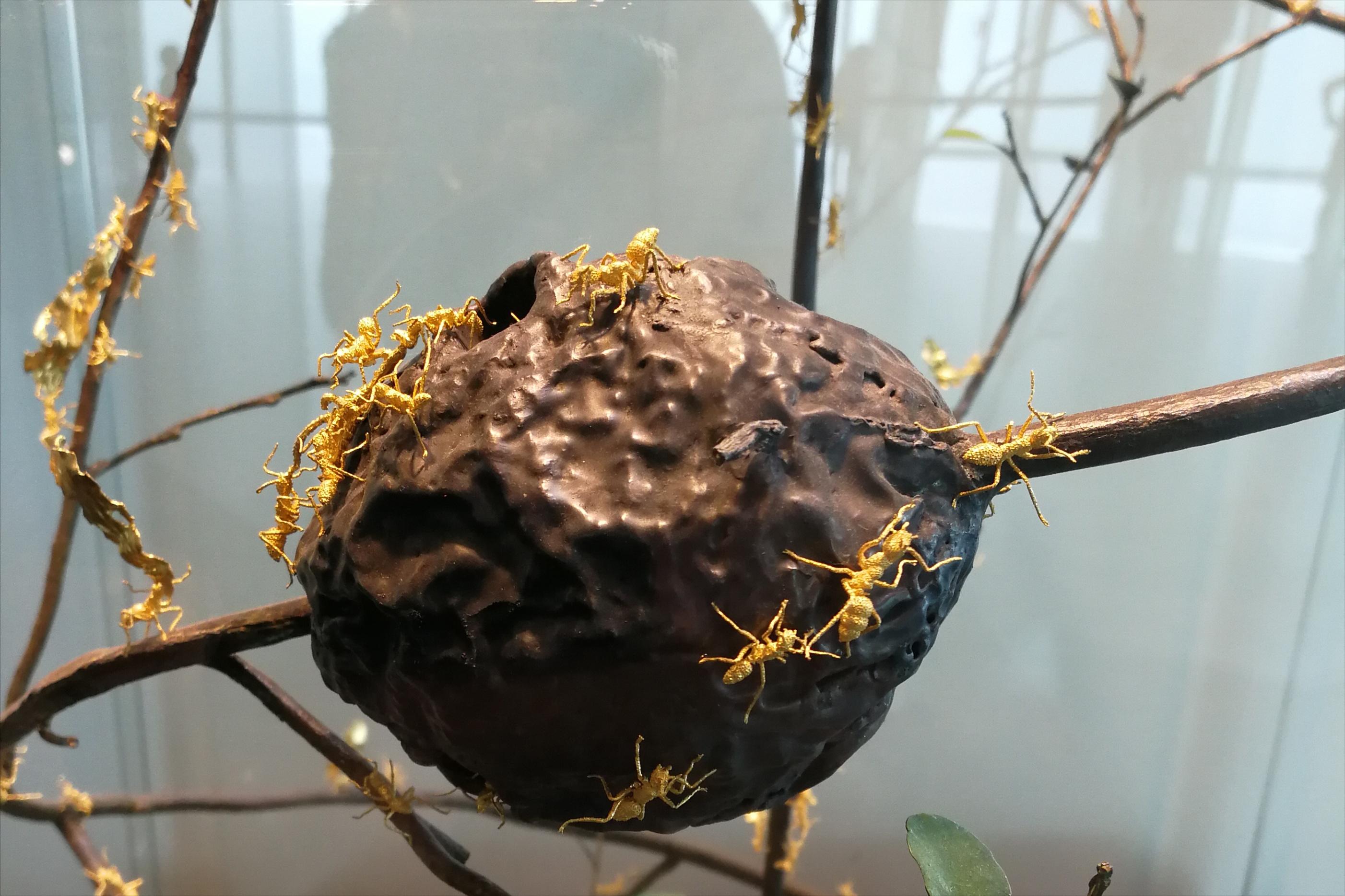 与三对夫妻的旅行奇遇记：你想收获什么，就去播种什么