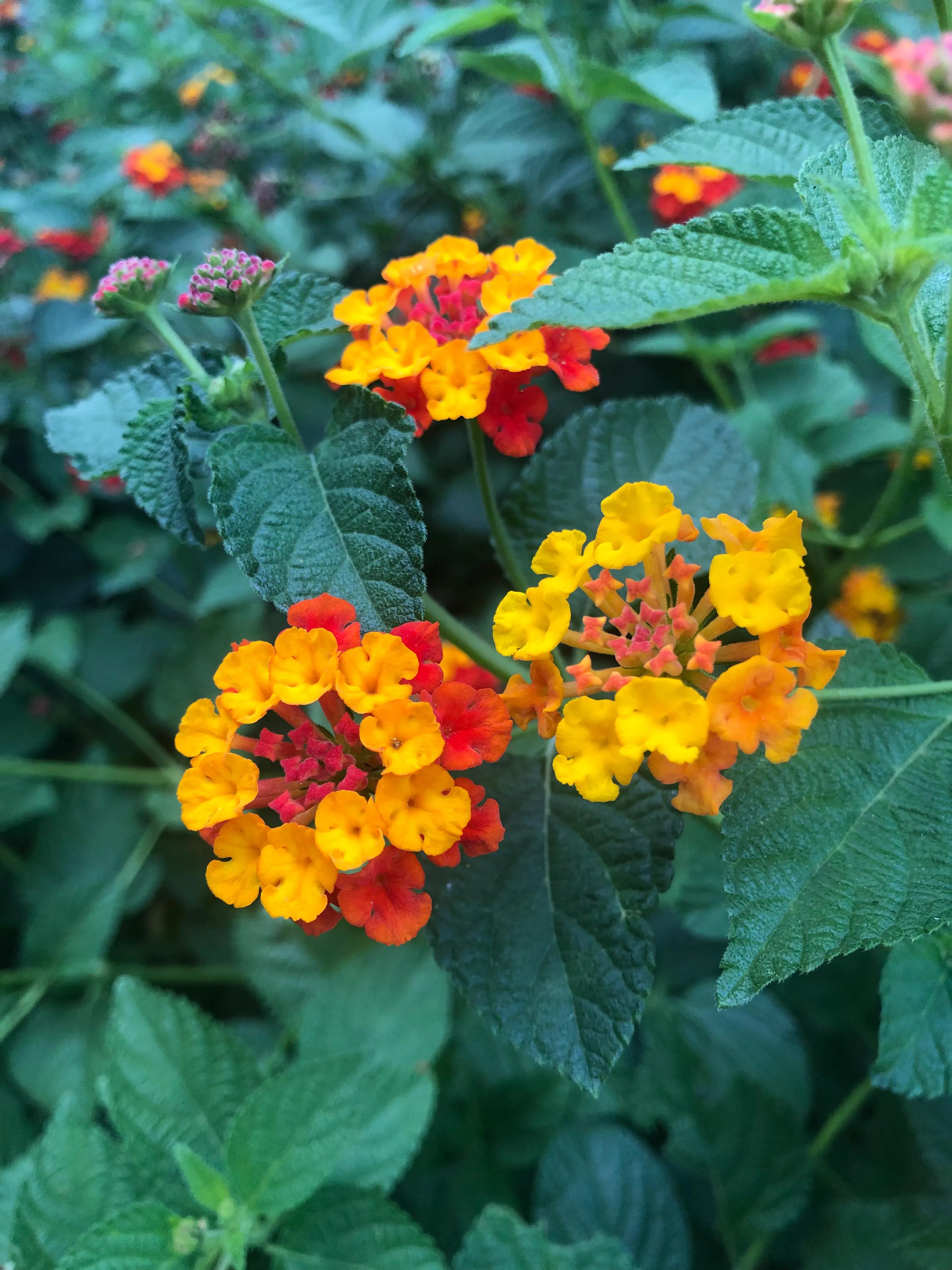 越过山丘经典语录,越过山丘越过海洋