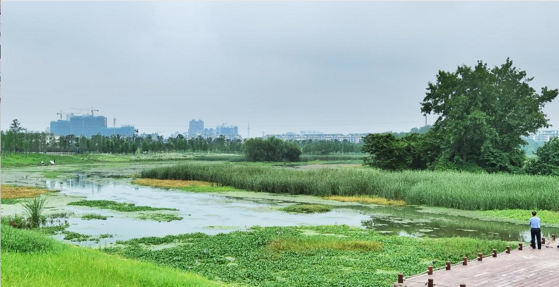 荣获奖项的喜报,棕榈奖名单曝光