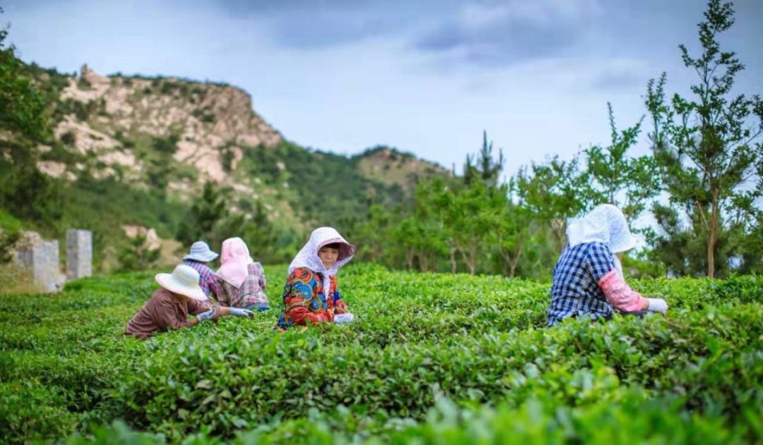 山东人的家乡情结,山东人远方的家乡