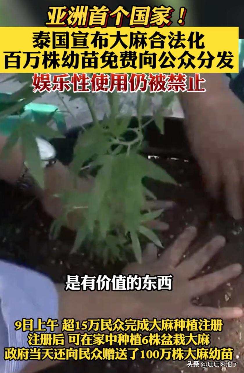 网红抹黑泰旅业？背后真实原因存疑官方将回应！网友：保命要紧！