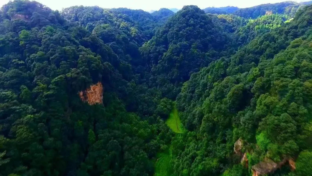 内江绿茵青训,内江足球青训俱乐部